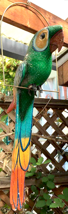 Pedro