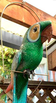 Pedro